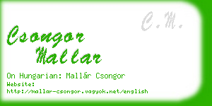 csongor mallar business card